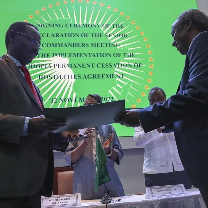 More aid reaches Ethiopia's Tigray region following truce